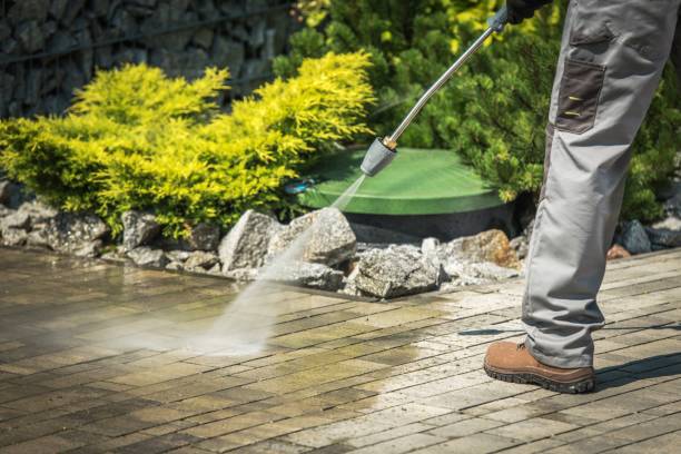 Best Soft Washing for Delicate Surfaces in Dodgeville, WI